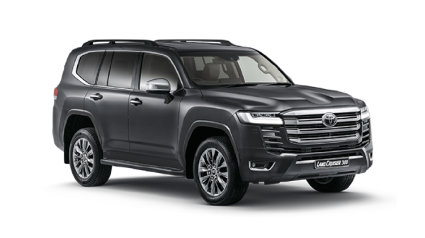 Fleet GPS Vehicle 3